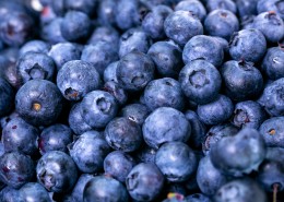 营养丰富的蓝莓图片_22张