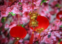 喜庆的春节装饰元素图片_13张