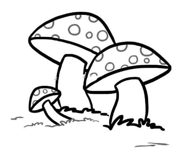 草地上的蘑菇简笔画