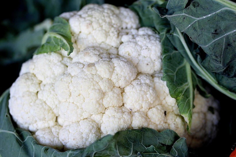 点击大图看下一张：新鲜营养的白色菜花图片