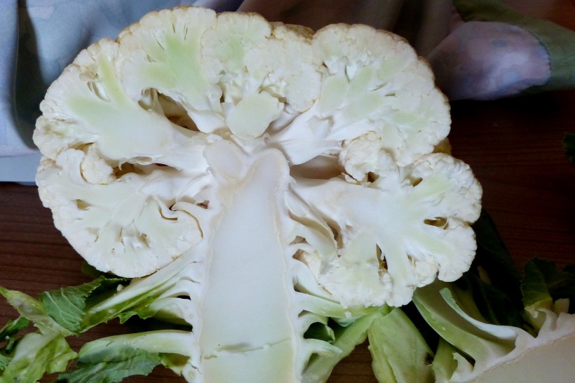 点击大图看下一张：新鲜营养的白色菜花图片