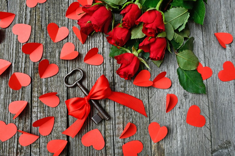 点击大图看下一张：红色妖娆浪漫的红玫瑰图片
