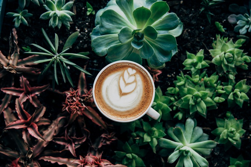 点击大图看下一张：神奇绚丽的咖啡拉花图片