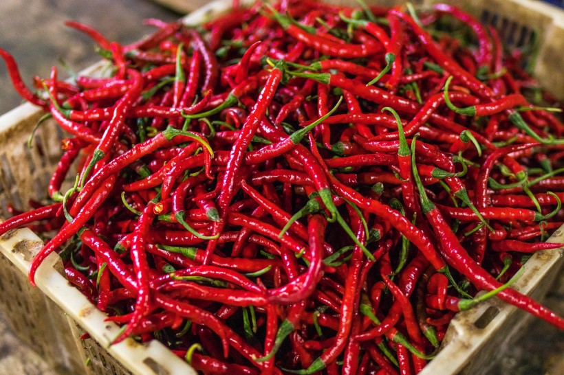 点击大图看下一张：红色新鲜辛辣的辣椒图片