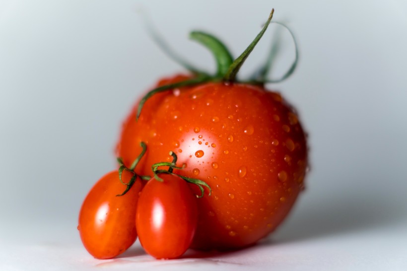 点击大图看下一张：红色营养丰富的西红柿图片