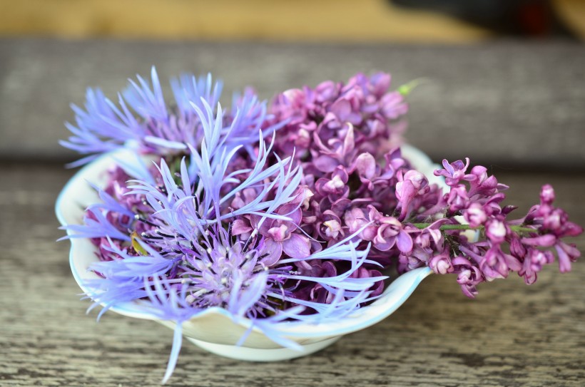 点击大图看下一张：清香四溢花朵密集的紫丁香图片
