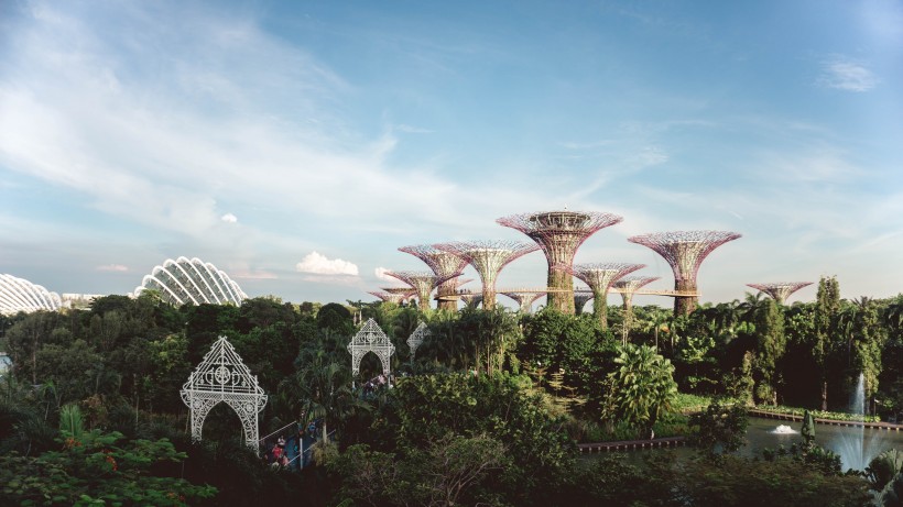 点击大图看下一张：新加坡滨海湾花园风景图片