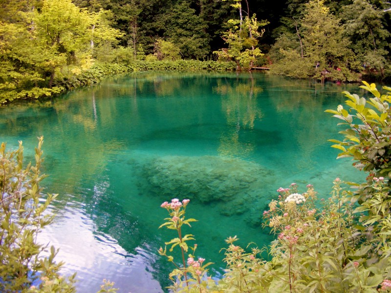 点击大图看下一张：克罗地亚普利特维采湖自然风景图片