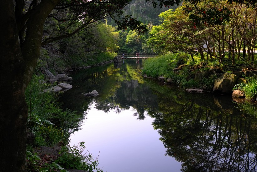 点击大图看下一张：韩国济州岛天地渊瀑布自然风景图片