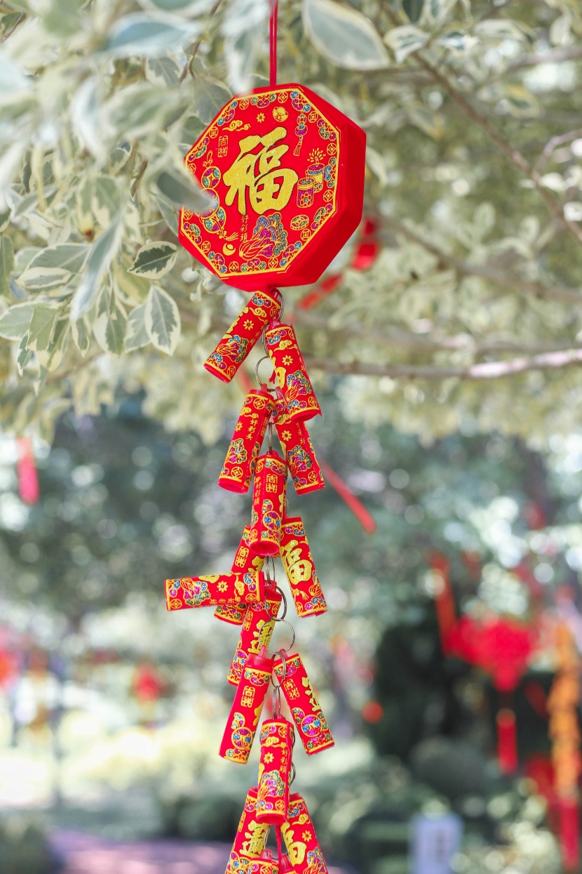 点击大图看下一张：喜庆的春节装饰元素图片