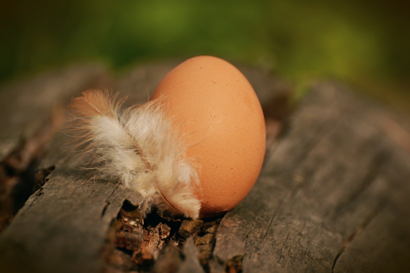 点击大图看下一张：营养丰富的鸡蛋图片