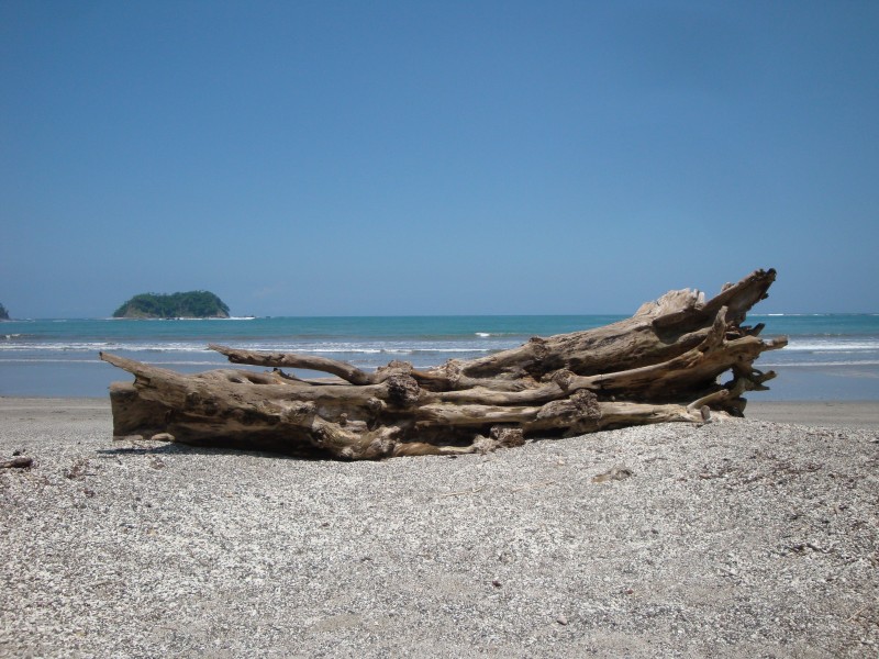 点击大图看下一张：哥斯达黎加优美海岸自然风景图片