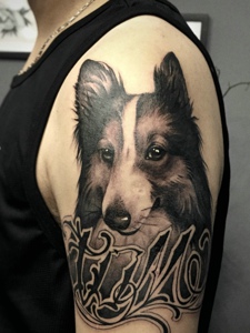 小狗纹身图片