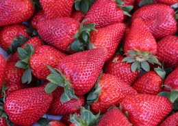 鲜红可口营养丰富的草莓图片_24张