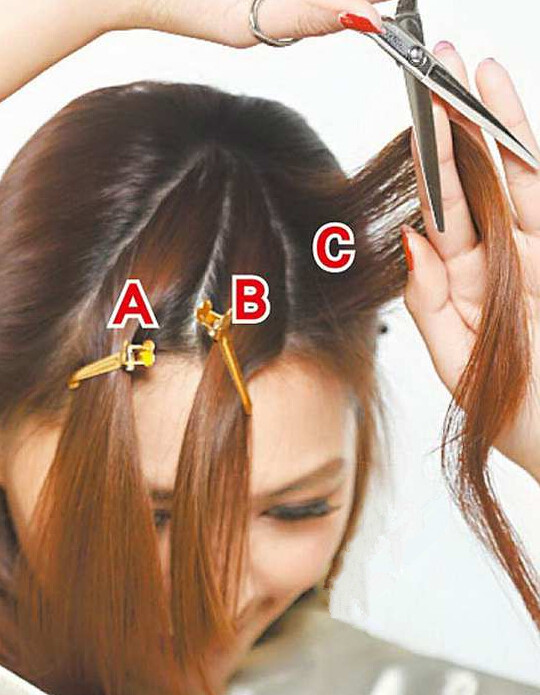 点击大图看下一张：步骤六：从C区开始，左手夹在想留下的头发，右手沿着左手的指腹，将多余的长度剪掉。用同样的方式剪AB两区，让3区的头发一样长。
