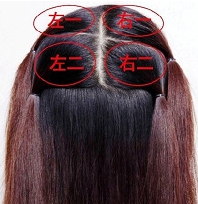 点击大图看下一张：将头发梳理好后，如图所示把头发分成四个区，左边两区，右边两区，然后分别用橡皮筋扎好。