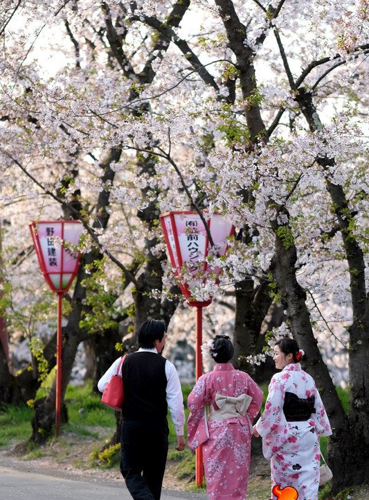 点击大图看下一张：日本弘前公园 日本弘前樱花园