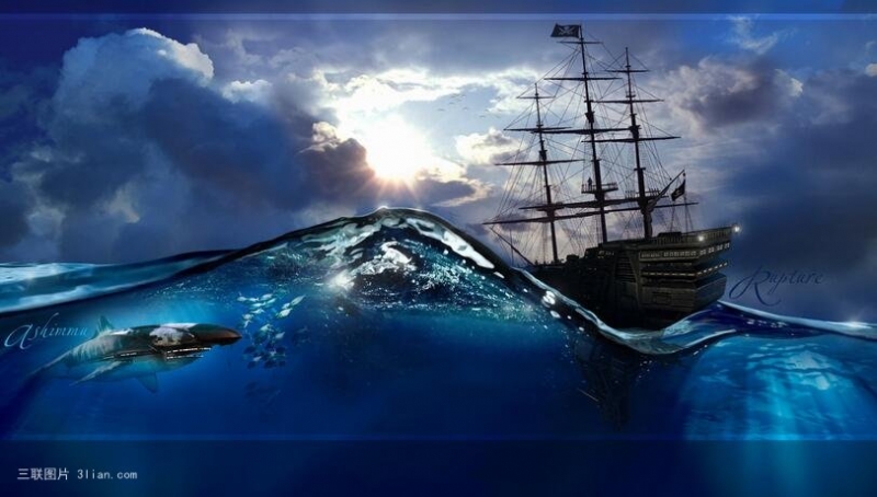 点击大图看下一张：海底的鲨鱼图片