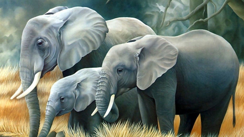点击大图看下一张：泰国大象图片