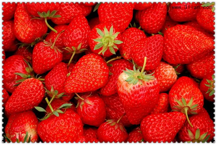 点击大图看下一张：鲜艳欲滴的草莓图片