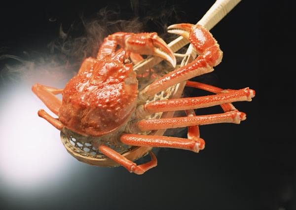 点击大图看下一张：日本蜘蛛蟹
