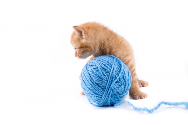 点击大图看下一张：猫咪玩毛线团图片
