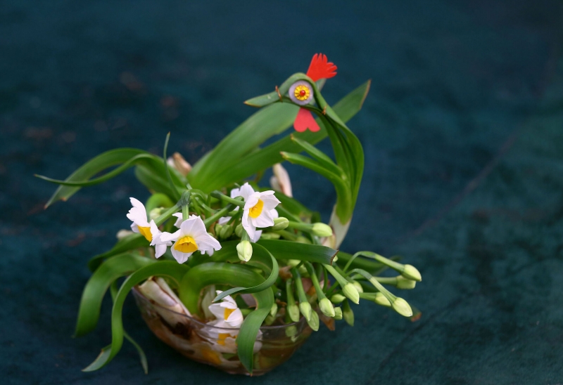 点击大图看下一张：水仙花盆景图片