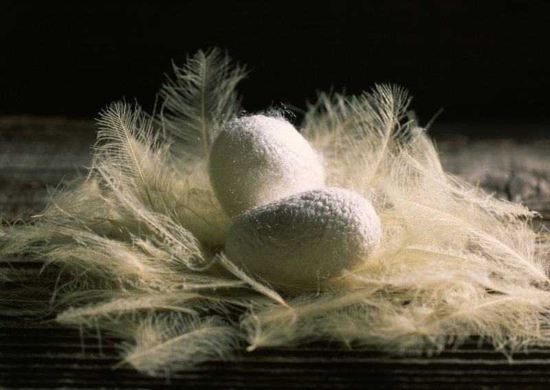 点击大图看下一张:蚕茧图片