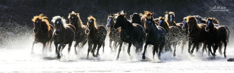 点击大图看下一张：马踏水花