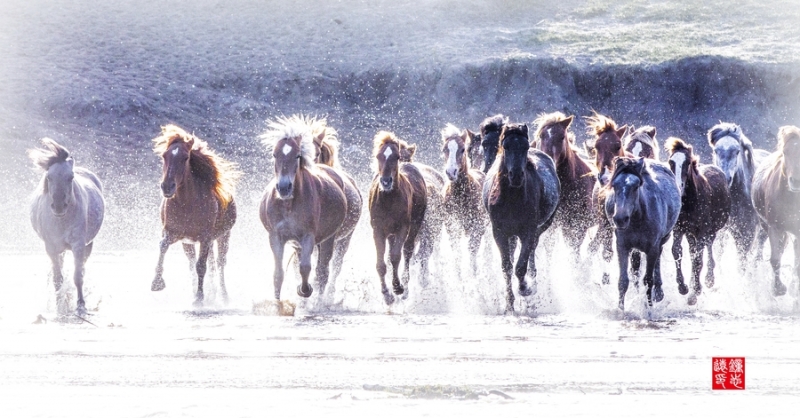 点击大图看下一张：马踏水花