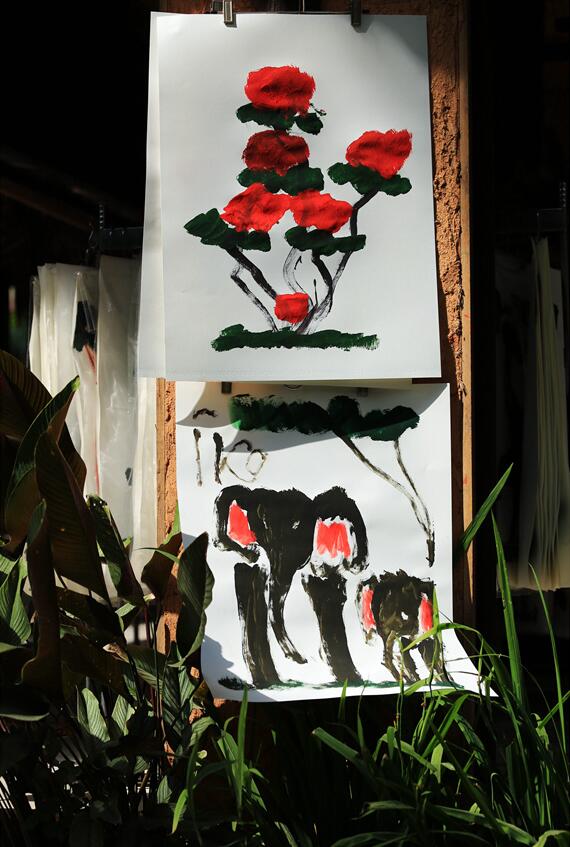 点击大图看下一张：灵性的大象