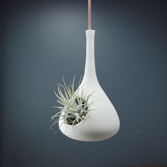 点击大图看下一张：创意空气铁兰凤梨花器