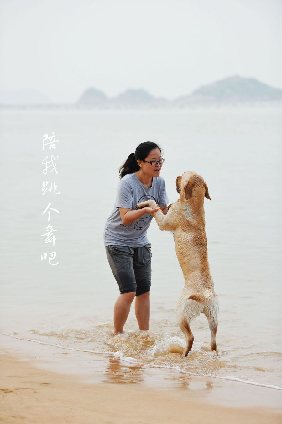 点击大图看下一张：海边的狗狗