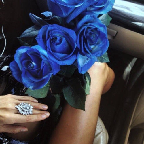 点击大图看下一张：高清蓝玫瑰花束图片