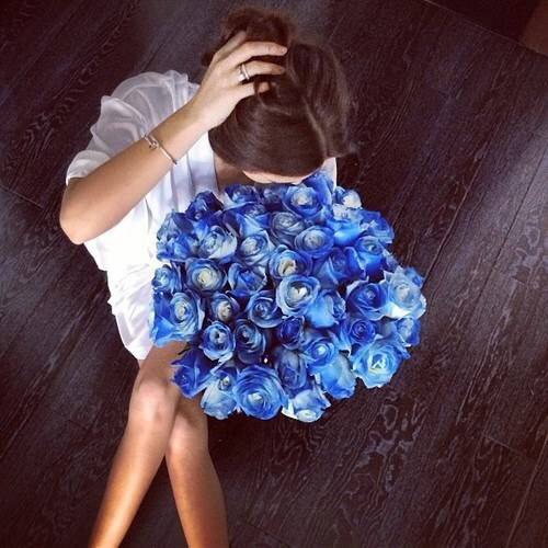 点击大图看下一张：高清蓝玫瑰花束图片