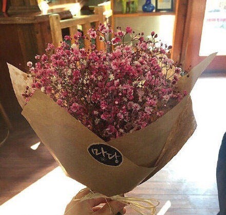 点击大图看下一张：满天星花束图片