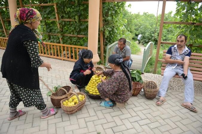 点击大图看下一张：新疆无花果图片