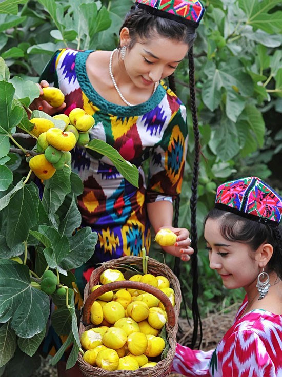 点击大图看下一张：新疆无花果图片