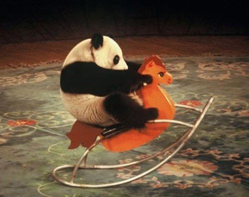点击大图看下一张：熊猫宝宝超可爱图片