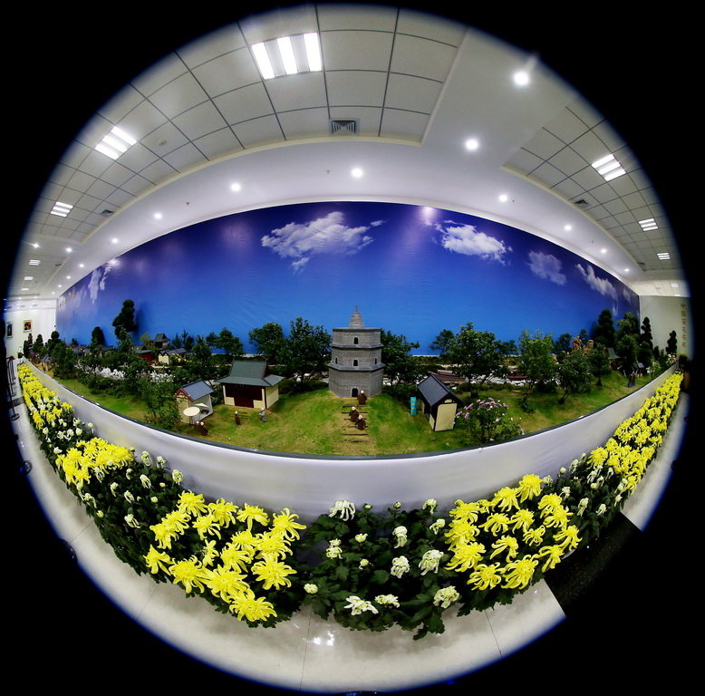 点击大图看下一张：世园会菊花展