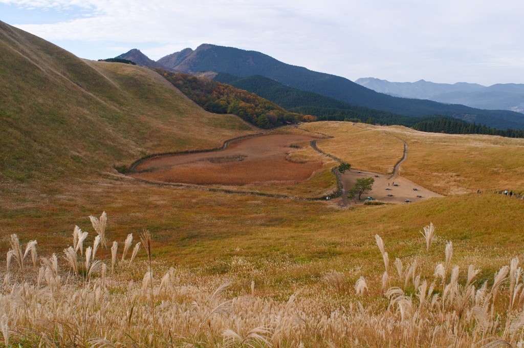 点击大图看下一张：登山拍芒草
