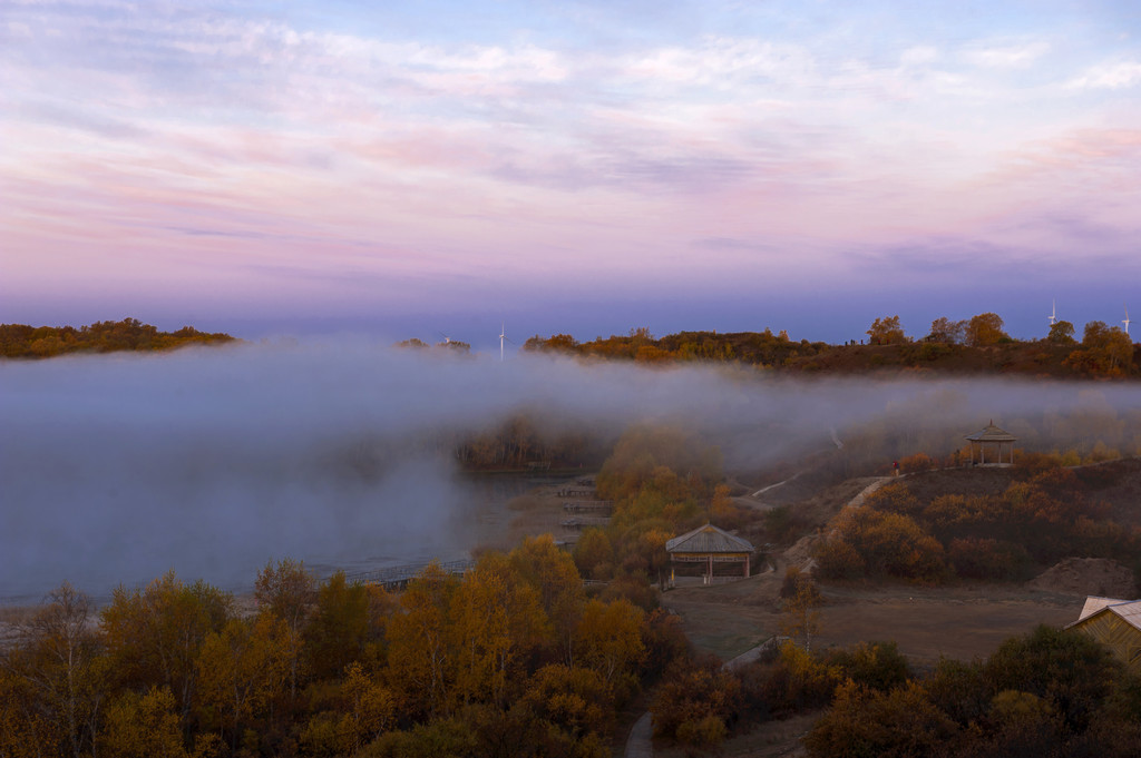 点击大图看下一张：金色的白桦林