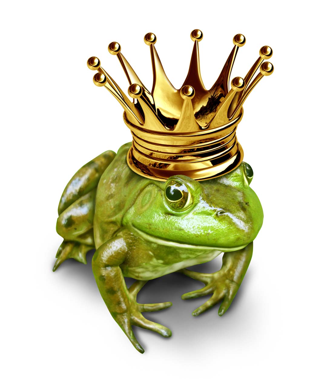 点击大图看下一张：小青蛙戴着皇冠头饰图片