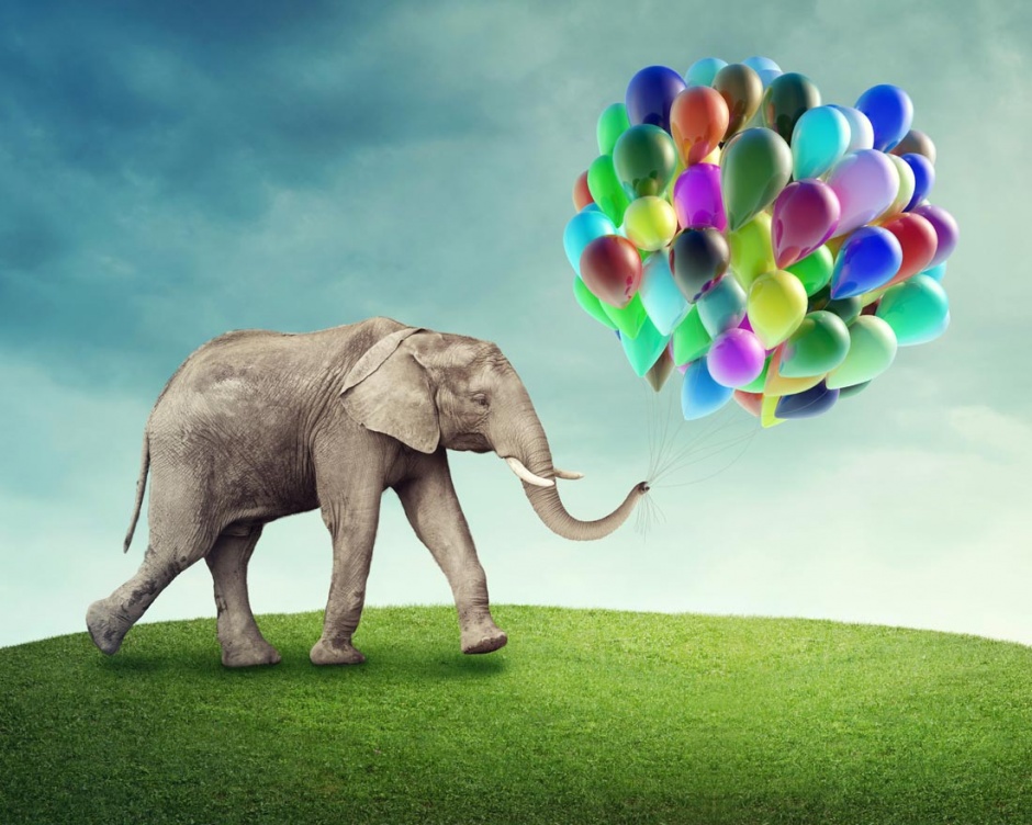 点击大图看下一张：大象与气球高清图片素材