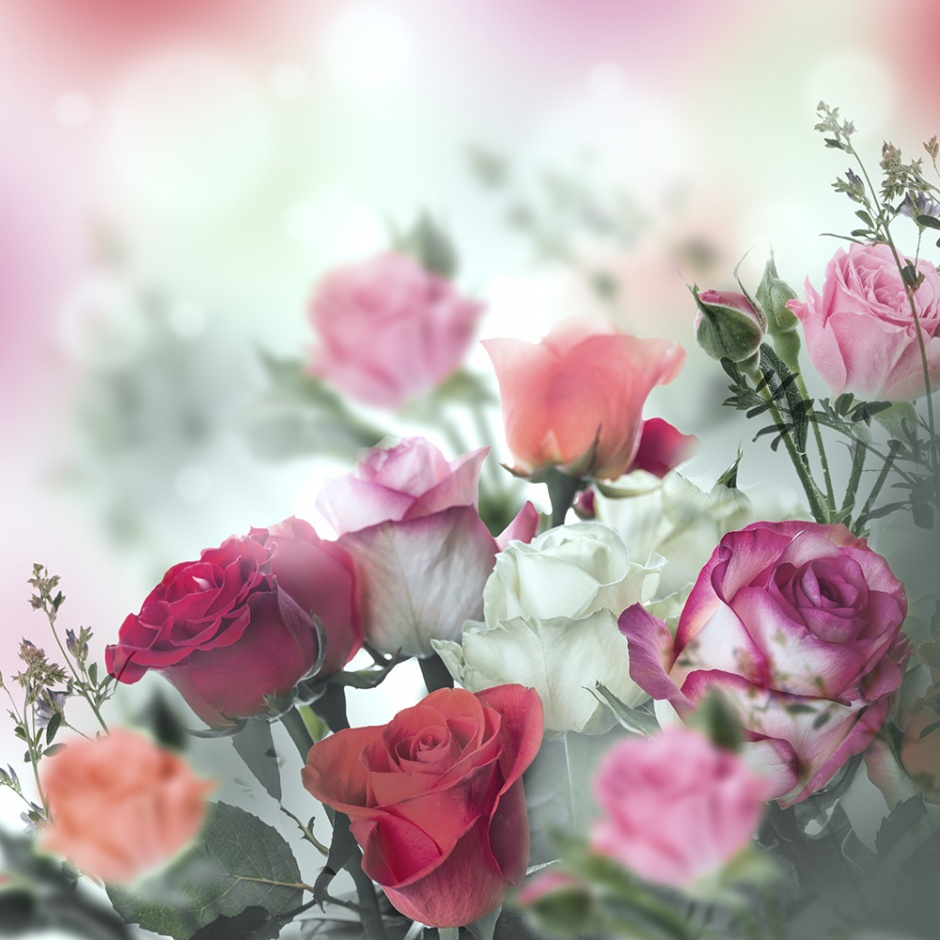 点击大图看下一张：唯美浪漫的春天蝴蝶水彩花卉壁纸