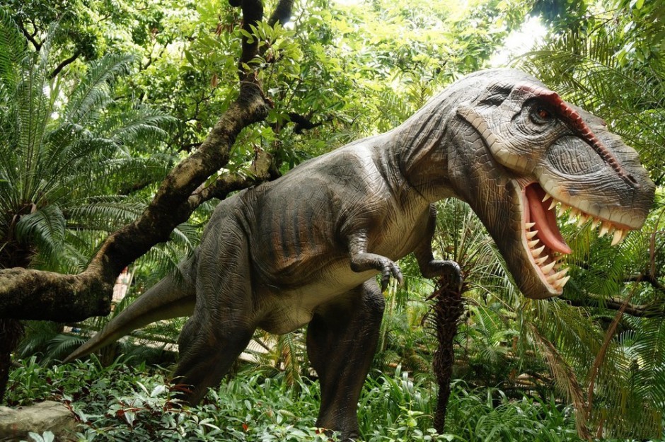 点击大图看下一张：牙齿锋利的霸王恐龙图片