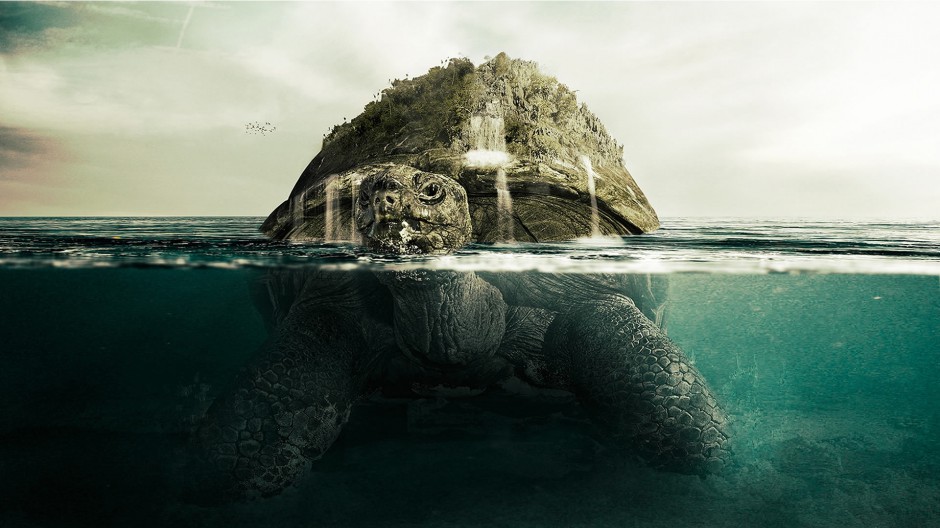 点击大图看下一张：海底乌龟图片大全