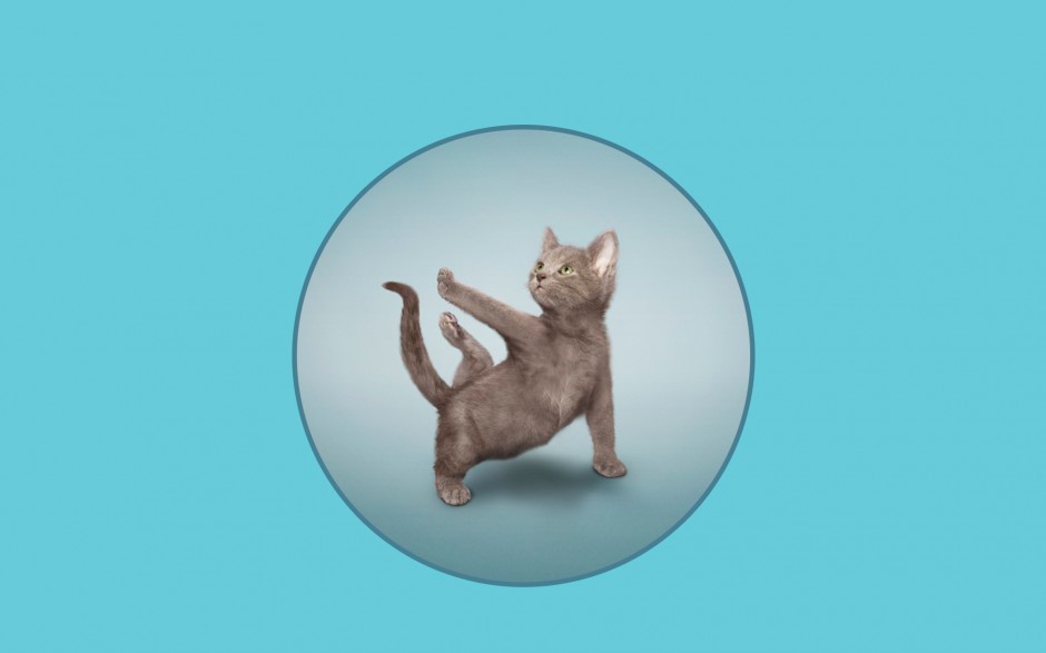 点击大图看下一张:搞笑呆萌喵星人卖萌壁纸精选