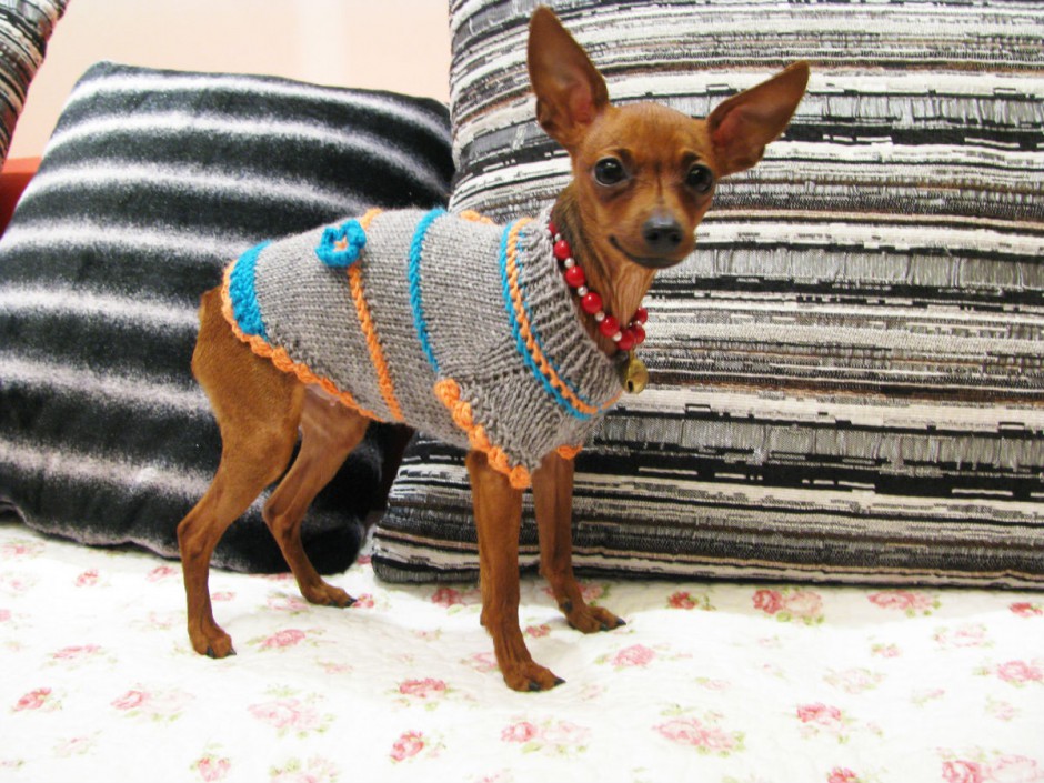 点击大图看下一张：迷你小鹿犬可爱造型图片