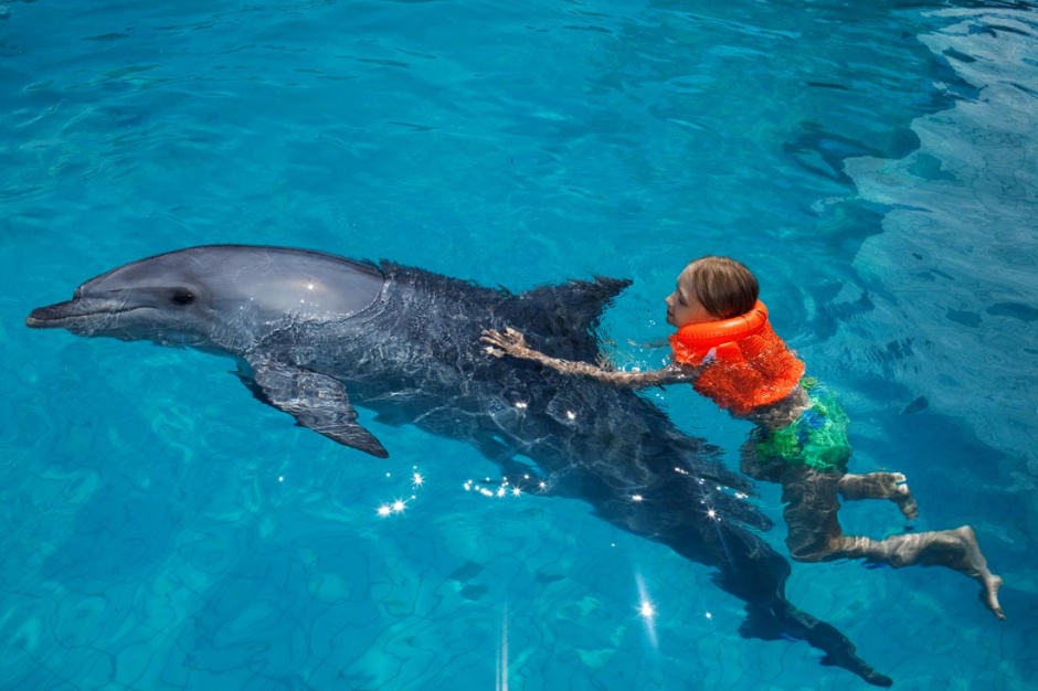点击大图看下一张：人类的好朋友海豚高清图片